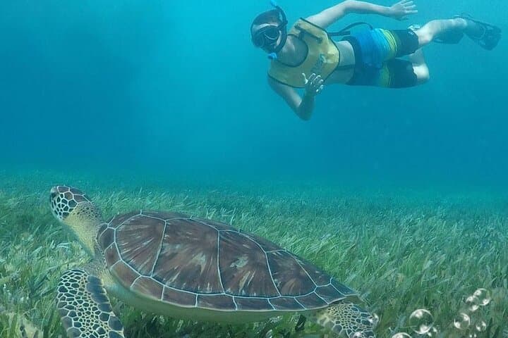 Soar and Submerge: Parasailing Plus Snorkeling Adventure in Cancun photo 2