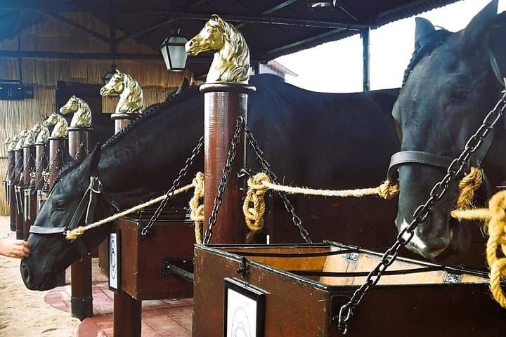 Lisbon Countryside Day Tour: Olive Oil, Wine & Lusitano Horses photo 1