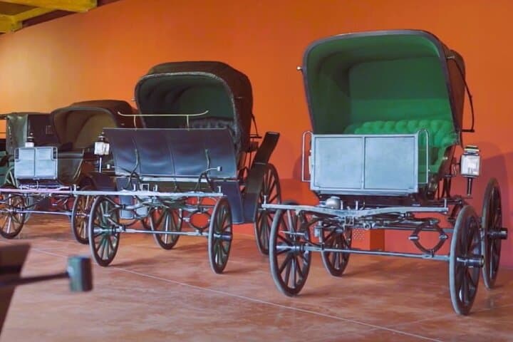 Lisbon Countryside Day Tour: Olive Oil, Wine & Lusitano Horses photo 4