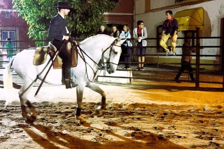 Lisbon to Golegã: Half-Day Lusitano Horse Experience & Carlos Relvas Studio photo 5