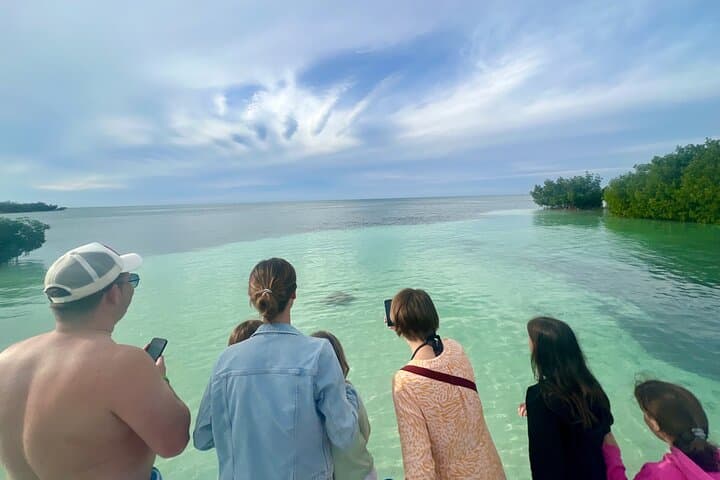 Half-Day Key West Boat Charter — Swim, Snorkel & Dolphin Watching photo 2