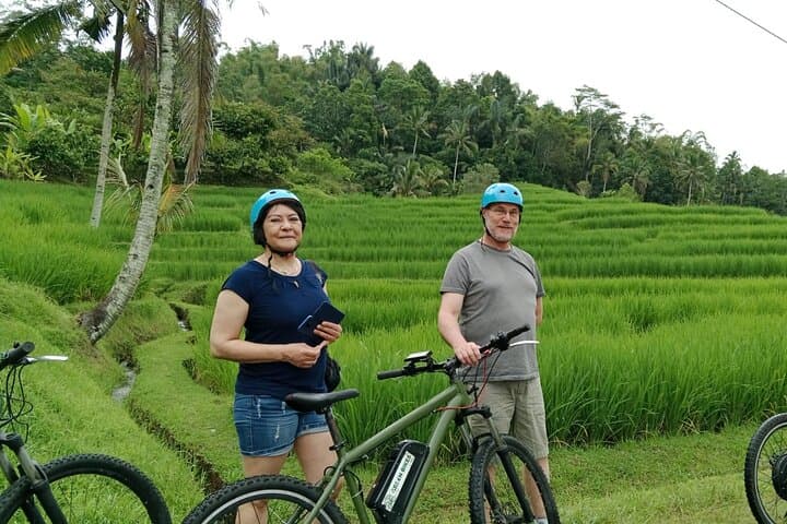 Jatiluwih Full-Day E‑Bike & Trekking: Ride UNESCO Rice Terraces with Lunch