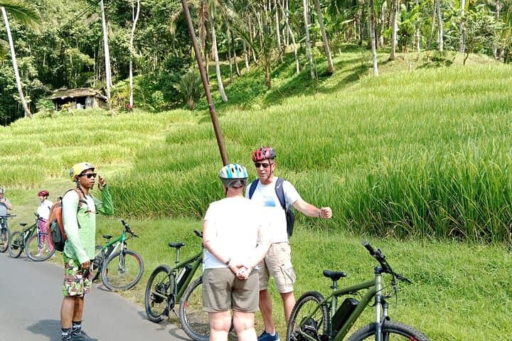 E-Biking Jatiluwih: 1-Hour Ride Through Bali's UNESCO Rice Terraces photo 3