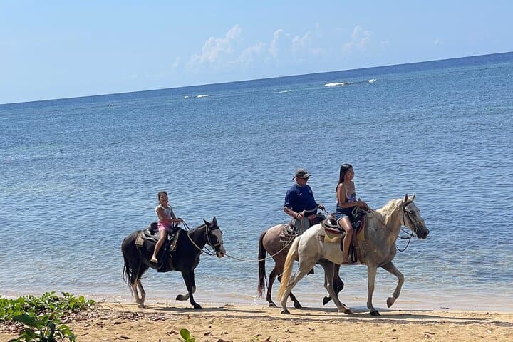 Roatán Horseback Riding, City Walk & West Bay Beach Club — Private 5–6 Hour Tour photo 3