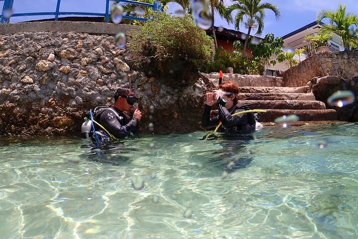 Mactan Beach-Entry Scuba Diving — Turtles, Sardines & Beginner-Friendly Dives