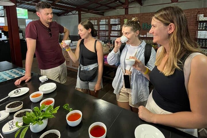 Handmade Tea Tour in Ella: Tea Plucking, Crafting & Tasting at Uva Halpewatte photo 2