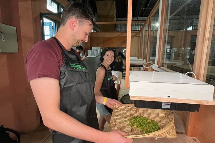Handmade Tea Tour in Ella: Tea Plucking, Crafting & Tasting at Uva Halpewatte photo 6