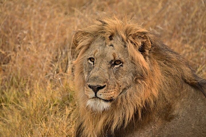 2-Day Safari to Tsavo East National Park from Mombasa & Diani photo 4