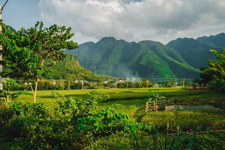 Mai Chau Valley 2-Day Bike & Trek from Hanoi: Rice Terraces, Thai Homestays and Village Life