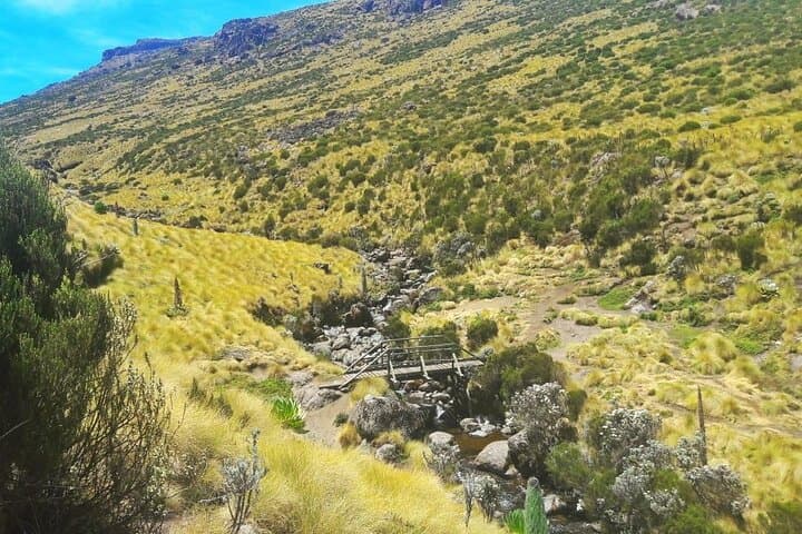 Conquer Mount Kenya in 3 Days: Sirimon Route to Point Lenana photo 2