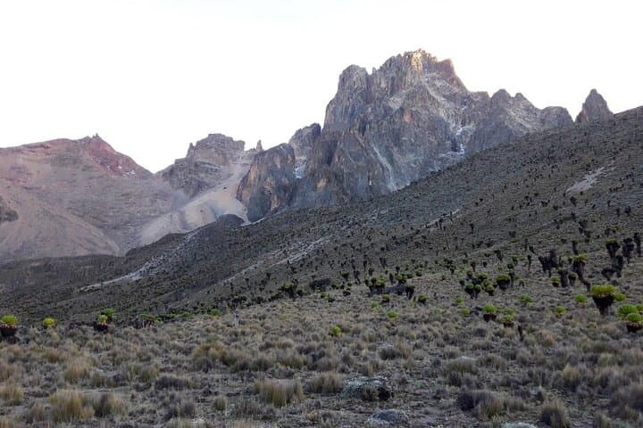 Conquer Mount Kenya in 3 Days: Sirimon Route to Point Lenana photo 4