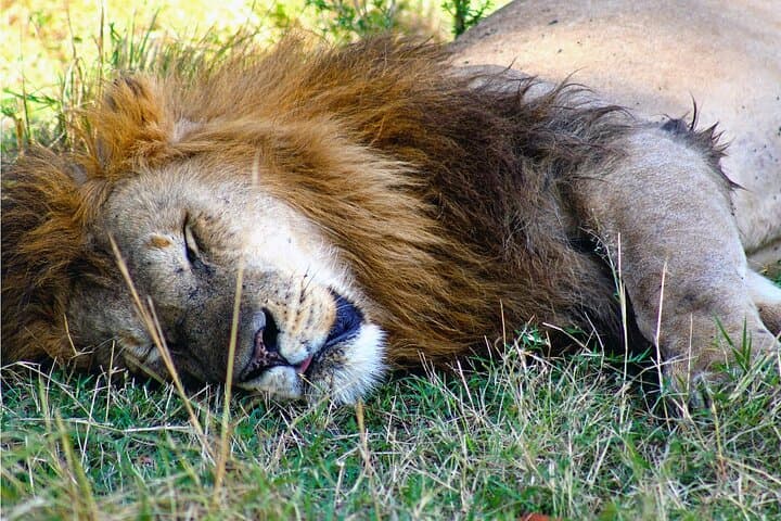 3-Day Safari to Samburu National Reserve from Nairobi photo 1