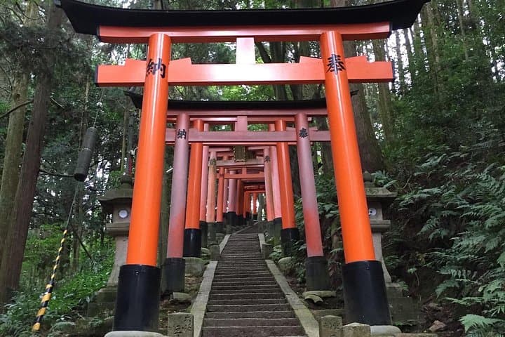 Secret Fushimi Inari Trails: Local-Guided Hike Through Hidden Torii and Bamboo Paths photo 5