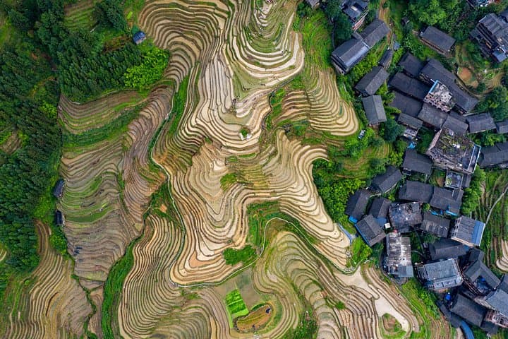 Longji Rice Terraces & Minority Villages Day Tour from Guilin photo 2