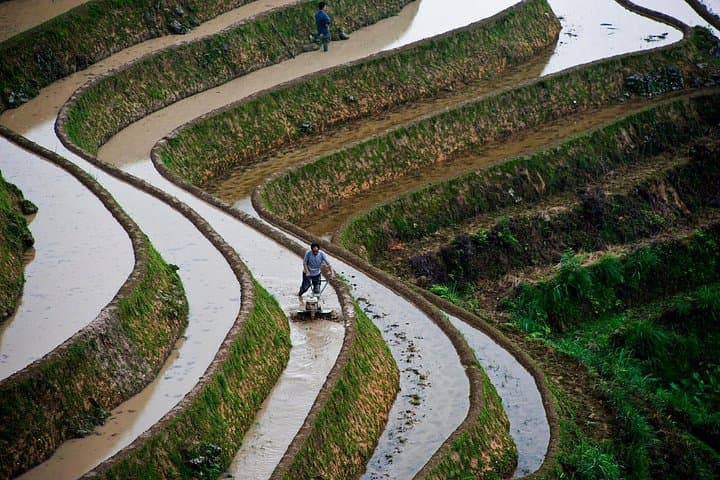 Longji Rice Terraces & Minority Villages Day Tour from Guilin