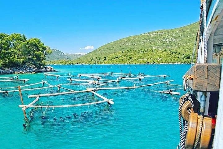 Mali Ston Oyster Farm Day Trip from Dubrovnik — Private Tasting & Coastal Views photo 1