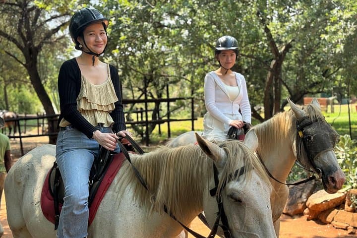 Hartbeespoort Horseback Safari and Cable Car from Johannesburg photo 2