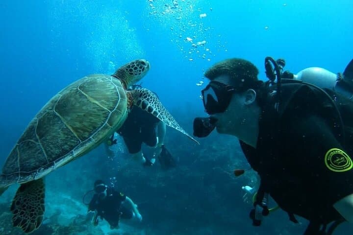 Punta Cana Reef Diving Adventure: Catamaran Dives & Coastal Snorkeling photo 2