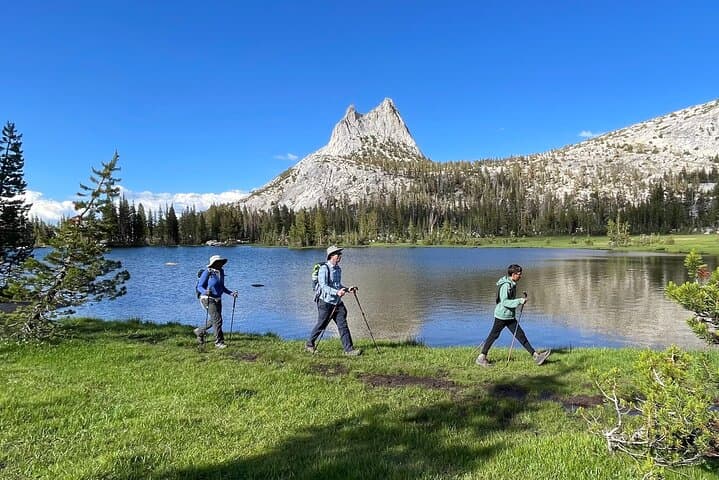 Yosemite High Country Explorer: Cathedral Range Guided Hike from Tuolumne Meadows