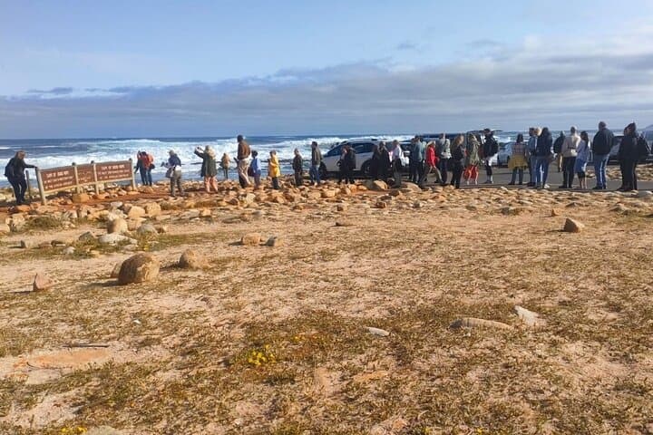 Cape Peninsula Full-Day Private Tour — Table Mountain, Chapman's Peak, Penguins & Cape Point photo 5
