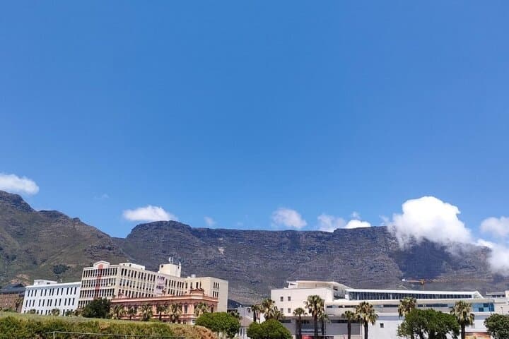 Cape Peninsula Full-Day Private Tour — Table Mountain, Chapman's Peak, Penguins & Cape Point photo 6