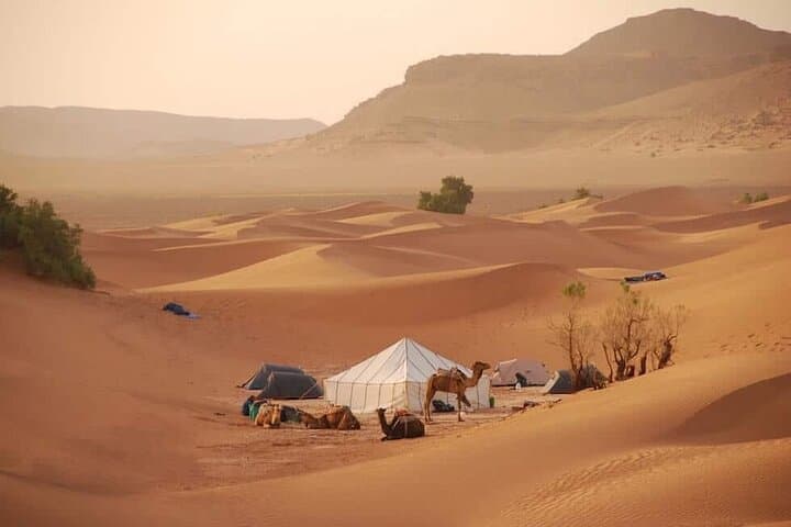 4-Day Sahara Desert Trek with Nomads from Zagora, Morocco photo 3