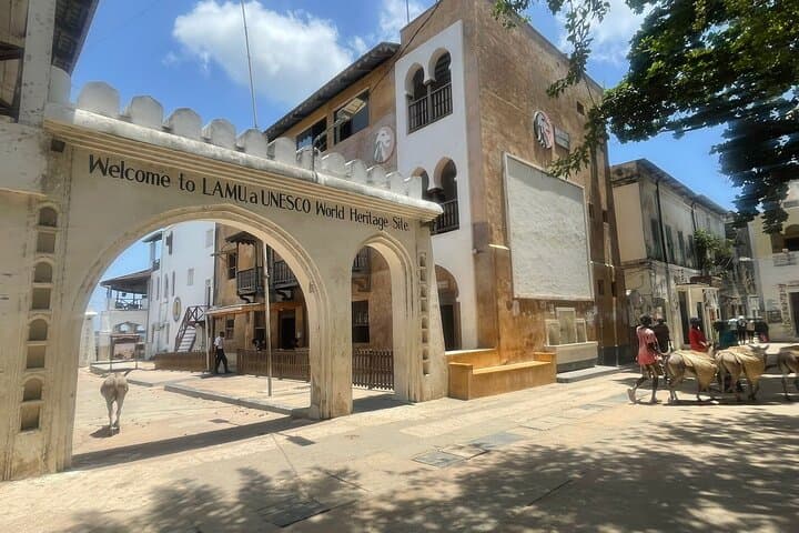 Lamu Old Town Walking Tour: Explore Swahili Streets, Fort, and Craft Workshops photo 2