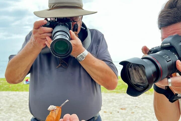 Moorea Private Photo Tour: Island Photography Workshop & Guided Discovery photo 4