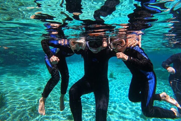 Small-Group Manatee Swim in Crystal River's Kings Bay photo 4
