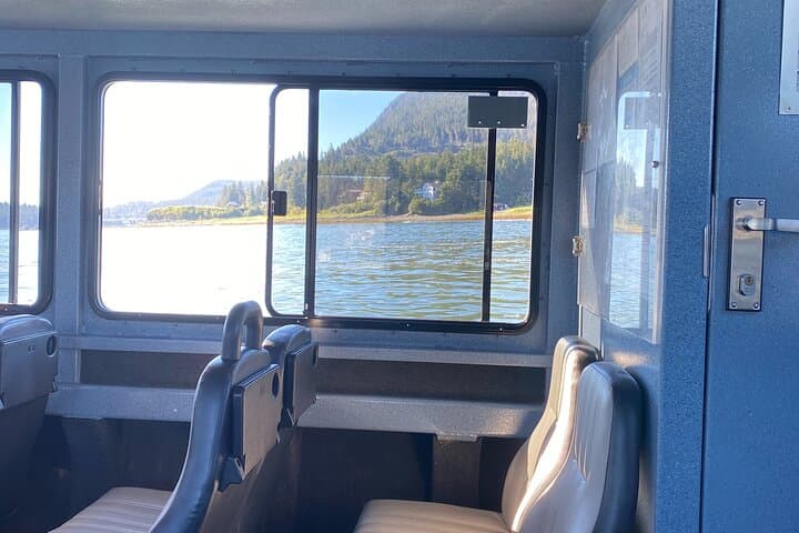 Juneau Whale Watching Adventure: Small-Boat Tours to See Humpbacks and Orcas photo 3