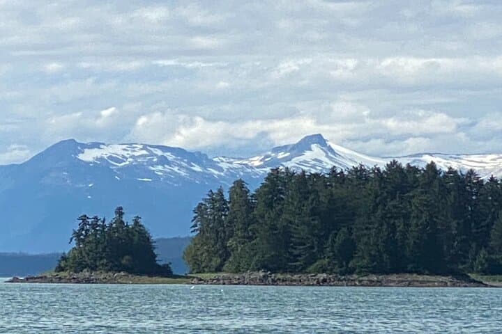 Juneau Whale Watching Adventure: Small-Boat Tours to See Humpbacks and Orcas photo 4