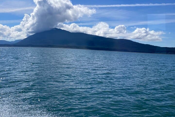 Juneau Whale Watching Adventure: Small-Boat Tours to See Humpbacks and Orcas photo 6