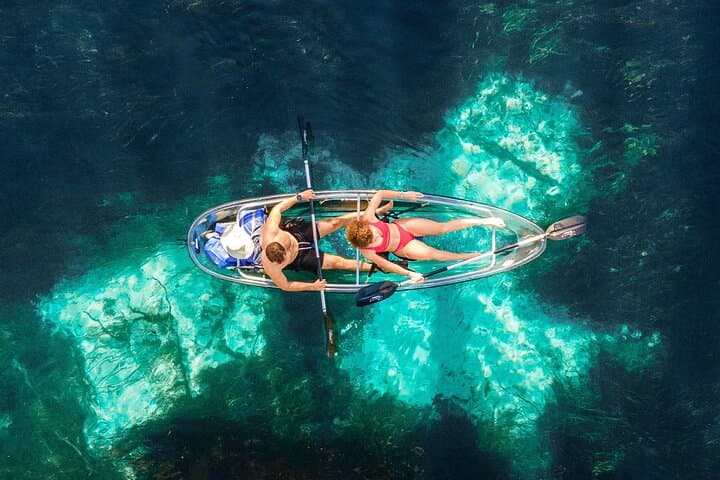 Silver Springs Clear Kayak Wildlife Adventure — Manatees, Monkeys & Crystal Waters photo 4