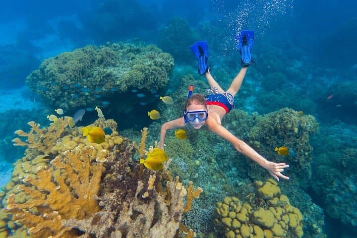 Explore Kaan Luum Lagoon and Tulum Cenotes: Ultimate Snorkeling Adventure photo 2