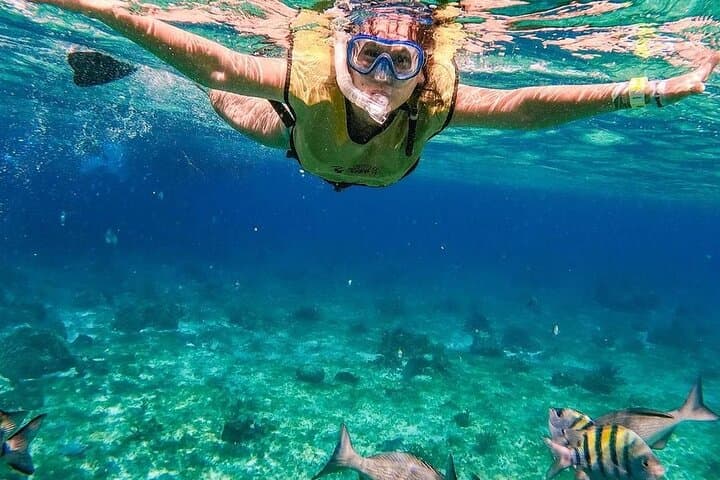 Explore Kaan Luum Lagoon and Tulum Cenotes: Ultimate Snorkeling Adventure photo 3
