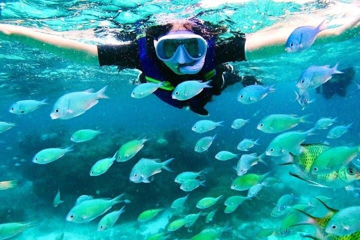 Explore Kaan Luum Lagoon and Tulum Cenotes: Ultimate Snorkeling Adventure photo 5