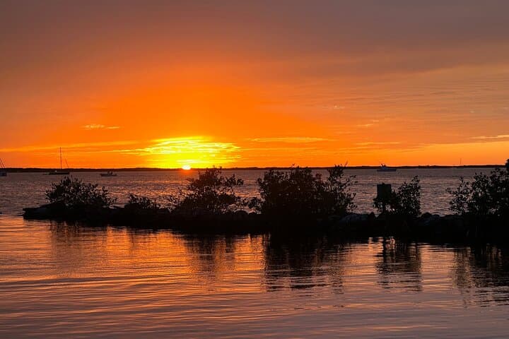 Private Sunset Cruise Key Largo: VIP 90-Min Boat Charter photo 3