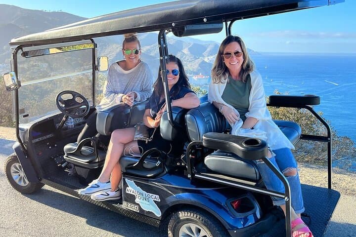 Private 2-Hour Avalon Golf Cart Tour on Catalina Island photo 2