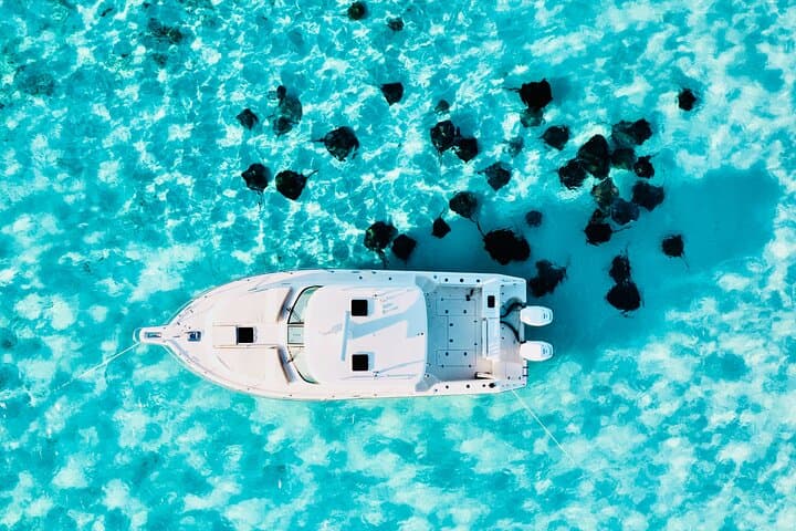Private Cayman Charters: Stingray City, Coral Gardens Snorkel & Starfish Point photo 3
