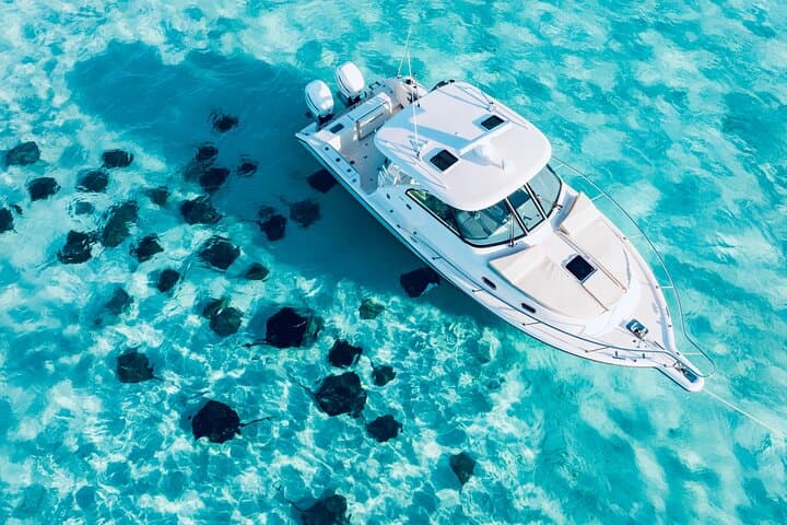 Private Cayman Charters: Stingray City, Coral Gardens Snorkel & Starfish Point