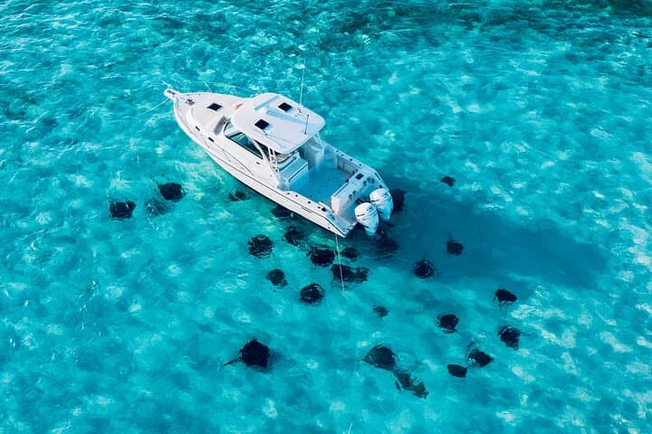 Private Cayman Charters: Stingray City, Coral Gardens Snorkel & Starfish Point photo 2