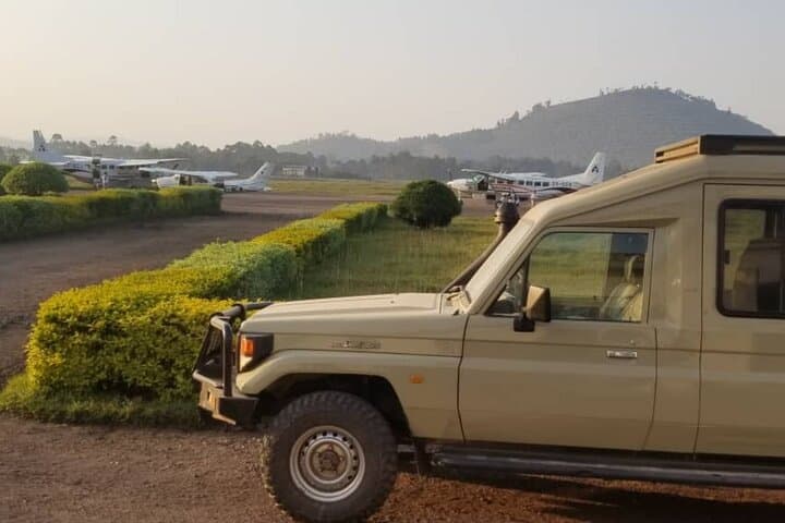 6-Day Uganda Safari: Gorilla Trekking, Chimp Tracking & Game Drives in Kibale, Queen Elizabeth & Bwindi photo 6
