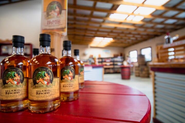 Roatán Rum, Chocolate & Sloths: A 2–3 Hour Island Wildlife and Tasting Tour photo 3