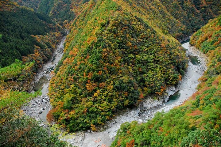 Oku-Iya 6-Hour Private Cab Tour: Iya Valley Vine Bridges, Hinoji Gorge & Iya Soba photo 2