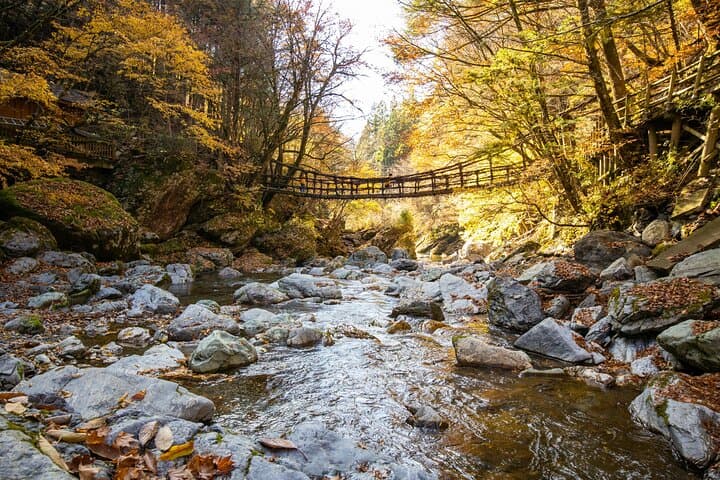 Oku-Iya 6-Hour Private Cab Tour: Iya Valley Vine Bridges, Hinoji Gorge & Iya Soba photo 6