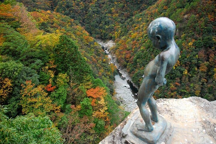 Oku-Iya 6-Hour Private Cab Tour: Iya Valley Vine Bridges, Hinoji Gorge & Iya Soba photo 3