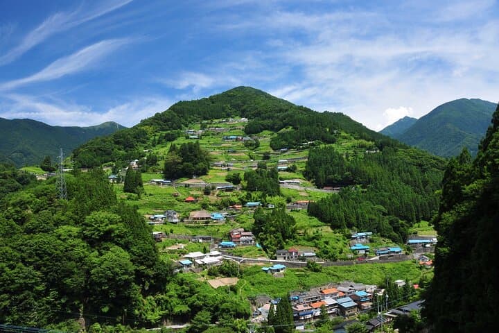 Oku-Iya 6-Hour Private Cab Tour: Iya Valley Vine Bridges, Hinoji Gorge & Iya Soba
