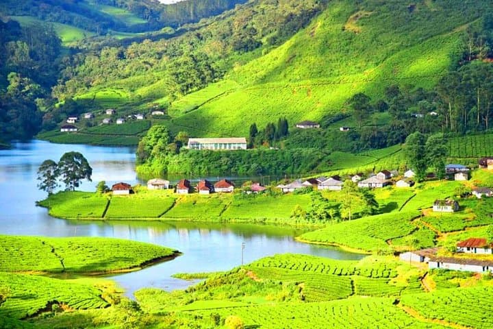 Private Wild Trails at Thekkady: Jeep Safari, Spice Plantation & Periyar Boat Ride