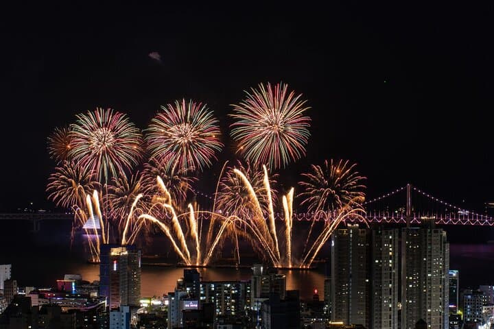 Busan Highlights: Hydrangea Season, Songdo Air Cruise & Gamcheon Village Day Tour photo 6