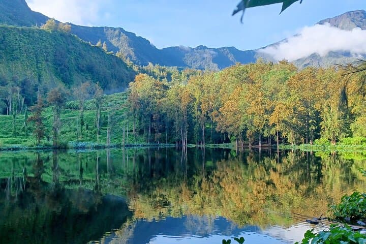 Half-Day Cirque de Salazie Tour to Hell-Bourg — Waterfalls, Mare Poule d'Eau & Creole Village